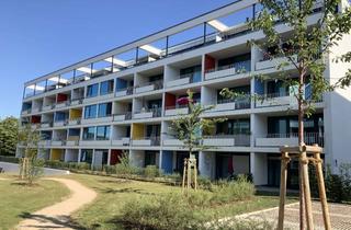 Wohnung mieten in Friedrich-Ebert-Straße, 35039 Marburg, Öffentlich geförderte 2-Zimmer-Erdgeschosswohnung mit Terrasse und Stellplatz