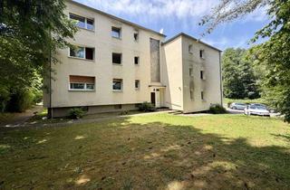 Wohnung mieten in Platter Straße 29, 65527 Niedernhausen, Kompakte 1-Zimmer-Wohnung ideal für Singles und Pendler mit Balkon und Waldblick