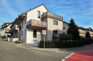 Wohnung mieten in Kuglweg, 85276 Pfaffenhofen, 4-ZKB mit 97 m² Wohn-/Nutzflä. im EG und Souterrain! 2 Bäder! FBH/elektr. Rollläden/Video./Carport!