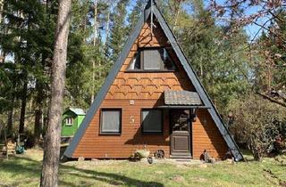Haus kaufen in 29456 Hitzacker, Hitzacker, Nurdachhaus in idyllischer Lage