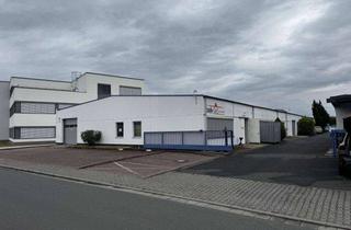 Geschäftslokal mieten in 63533 Mainhausen, 495 m² Lagerhalle + Büro in Mainhausen zu vermieten