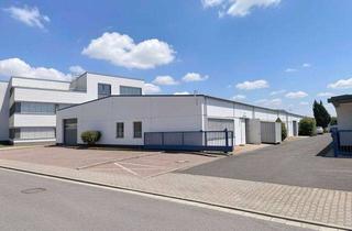 Geschäftslokal mieten in 63533 Mainhausen, 495 m² Lagerhalle + Büro in Mainhausen zu vermieten