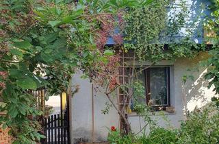 Einfamilienhaus kaufen in 71157 Hildrizhausen, Gemütliches Einfamilienhaus mit schönem Garten