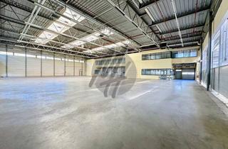 Büro zu mieten in 38518 Gifhorn, PROVISIONSFREI ✓ RAMPE + EBEN ✓ Lager (10.100 m²) mit Büro (1.000 m²)