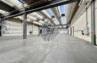 Büro zu mieten in 38444 Hattorf, KEINE PROVISION ✓ RAMPE + EBEN ✓ Lagerflächen (10.000 m²) & Büro (900 m²)