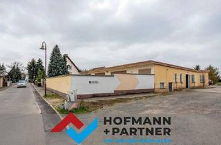 Büro zu mieten in 04683 Belgershain, Halle mit Büro- und Lagerräumen und Freifläche