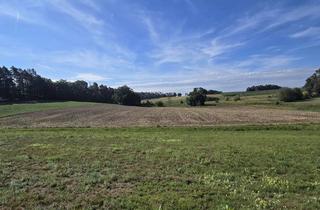 Grundstück zu kaufen in 85084 Reichertshofen, landwirtschaftliche Fläche, Ackerland bei Agelsberg