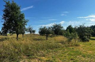 Grundstück zu kaufen in 75236 Kämpfelbach, Landwirtschafts- und Waldgrundstücke ab 2,50 €/m²