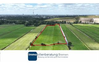 Grundstück zu kaufen in 28357 Blockland, Großzügige Grünlandfläche zu verkaufen