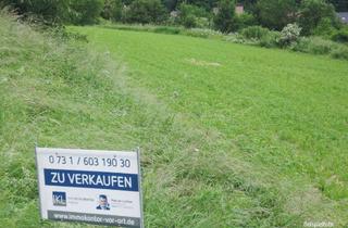 Grundstück zu kaufen in 70771 Leinfelden-Echterdingen, 2 GRUNDSTÜCKE in sehr guter Lage direkt im Ort Leinfelden, - JETZT LESEN!