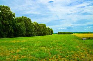 Grundstück zu kaufen in 86669 Königsmoos, 2.980 m² für Ihr Bauvorhaben