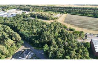 Gewerbeimmobilie kaufen in 29392 Wesendorf, Entwicklungsgrundstücke im HAMMERSTEIN Park