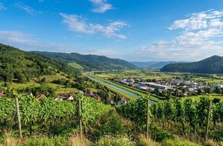 Wohnung mieten in 77781 Biberach, Lichtdurchflutete und gemütliche 2 Zimmer Etagenwohnung in Biberach im Kinzigtal