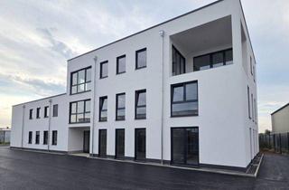 Gewerbeimmobilie mieten in Konrad-Zuse-Straße, 53347 Alfter, Bürofläche 119 m² | Erdgeschoss | Neubau-Erstbezug Alfter (Bonn/Köln) | ab 08/2026