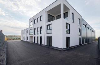 Gewerbeimmobilie mieten in Konrad-Zuse-Straße, 53347 Alfter, Büro 151 m² | größte Einheit | 1. OG | Neubau-Erstbezug Alfter (Bonn/Köln) | ab 08/2026