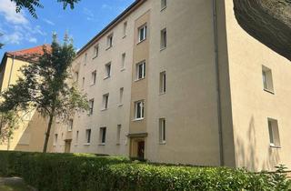 Wohnung kaufen in Mansfelder Straße 64, 01309 Striesen-Süd, Gepflegte 2-Zimmer-Eigentumswohnung im Hochparterre mit Balkon zum begrünten Innenhof
