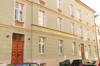 Wohnung mieten in Mönchstr. 40, 18439 Altstadt, Studenten aufgepasst!
