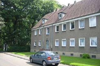 Wohnung mieten in Alter Graben 14, 45731 Waltrop, Bezugsfertige 3 Raumwohnung in Waltrop