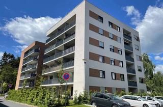 Wohnung mieten in 01109 Klotzsche, * sonnige 5-Zimmer Familienwohnung mit Terrasse in beliebter Lage *