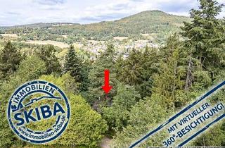 Haus kaufen in 53533 Antweiler, Idyllische Alleinlage: Wochenendhaus inmitten der Natur oberhalb von Antweiler/Ahr