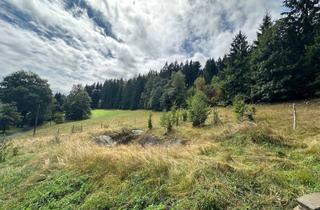 Haus kaufen in 08248 Klingenthal, Einzigartiges Gläsernes Wohntraum-Idyll * Spektakuläres Naturhaus mit Wellness