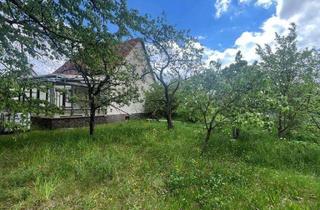 Haus kaufen in 01968 Senftenberg, Viel Platz für Ihre Wohnträume - Sanierungsobjekt mit großem Potenzial im Sedlitzer Seenland