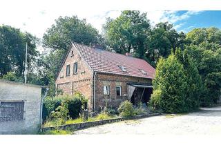 Haus kaufen in Ringstraße 14, 15377 Märkische Höhe, Vermietetes, teilunterkellertes Zweifamilienhaus in Massivbauweise mit Ackerland