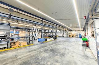 Gewerbeimmobilie mieten in 78564 Wehingen, Provisionsfrei - Produktionsflächen mit Schwerlastboden, Hochregallager und moderner Verwaltung