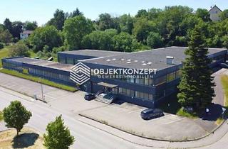 Gewerbeimmobilie mieten in 72477 Schwenningen, Moderne Gewerbeimmobilie mit freier Hallenfläche - ab ca. 125 m² teilbar - verfügbar ab sofort
