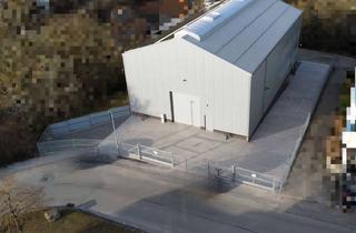 Gewerbeimmobilie mieten in 71229 Leonberg, Neue Lagerhalle in Leonberg sucht passenden Mieter