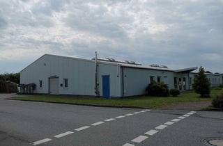 Gewerbeimmobilie mieten in 24589 Nortorf, Lagerfläche im Gewerbegebiet
