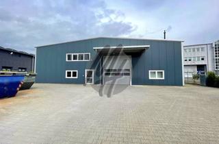 Büro zu mieten in 64521 Groß-Gerau, SCHNELL VERFÜGBAR ✓ Lager (800 m²) mit Büro (50 m²) & Freilager (550 m²)