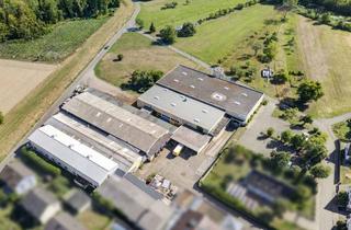 Gewerbeimmobilie kaufen in 77839 Lichtenau, Vielseitiges Gewerbeareal – 6 Hallen, ca. 5.400 m² auf ca. 15.100 m² Grundstück in Lichtenau