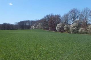 Grundstück zu kaufen in Rosenower Str., 17268 Boitzenburger Land, Grundstücke für ihr Tinyhaus in der Uckermark zu verkaufen!