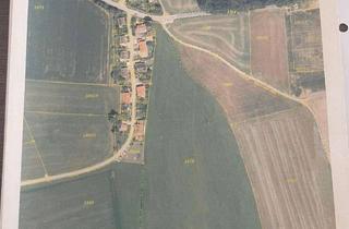 Grundstück zu kaufen in Hochreiter Weg, 85617 Aßling, Wiesengrundstück in Oberbayern Aßling Lorenzenberg