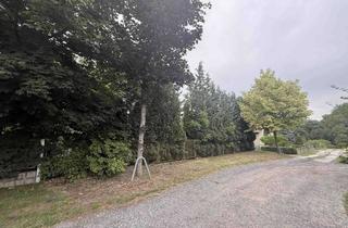 Grundstück zu kaufen in 16356 Werneuchen, Im Grünen wohnen! Baugrundstück in Tiefensee, Parknähe