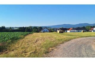 Grundstück zu kaufen in In Der Aue 19a, 36456 Barchfeld, Bei Bad Salzungen entsteht ein Town & Country Massivhaus, das noch Nachbarn sucht.
