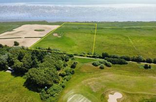 Grundstück zu kaufen in Hiirlön, 25980 Sylt, Große Weide zwischen Wattenmeer und Golfplatz