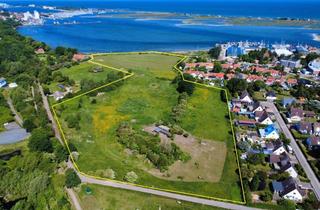 Grundstück zu kaufen in Pillauer Straße, 23774 Heiligenhafen, Idyllische gelegene Weide mit Ostseeblick