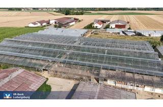 Immobilie kaufen in 74385 Pleidelsheim, Vielseitig nutzbare Gärtnerei mit Wohnhaus, großzügigen Nebengebäuden und Freiflächen