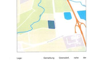 Gewerbeimmobilie kaufen in 91350 Gremsdorf, Gremsdorf, Landwirtschaftsfläche mit Feldwiesen, Flur Nr. 260