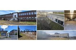 Gewerbeimmobilie kaufen in 04838 Laußig, Ca. 6,392 ha Großes Grundstück mit Bestandsgebäuden: Halle + Betonsilo + Garagen + teilsan. Flachbau