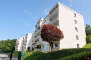 Wohnung kaufen in 58636 Iserlohn, Ohne Käuferprovision! Gepflegte 2-Zimmer-Eigentumswohnung mit Sonnenbalkon in ruhige Sackgassenlage