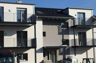 Wohnung mieten in Donnersbergstraße, 55129 Hechtsheim, Schöne 2 Zimmer Wohnung, Mainz mit Balkon nach Süden