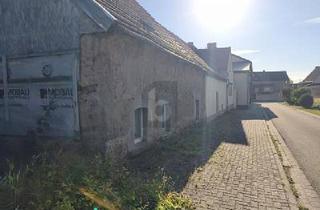 Grundstück zu kaufen in 06542 Allstedt, LANDLIEBE MIT PERSPEKTIVE