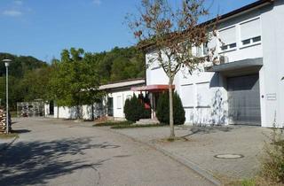 Gewerbeimmobilie mieten in 74670 Forchtenberg, Effizient nutzbare Industriehalle mit 17 Stellplätzen in Forchtenberg-Sindringen