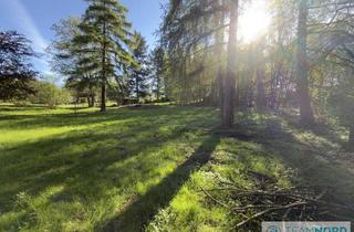 Immobilie kaufen in 21272 Egestorf, Viel Raum für zwei besondere Häuser - 3.652 m² Baugrundstück in Egestorf