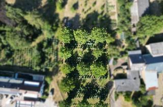 Immobilie kaufen in 56753 Naunheim, Großzügiges Baugrundstück in Naunheim