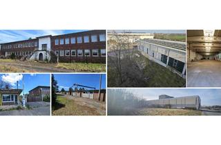 Lager kaufen in 04838 Laußig, Ca. 6,392 ha Großes Grundstück mit Bestandsgebäuden: Halle + Betonsilo + Garagen + teilsan. Flachbau