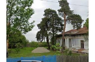 Haus kaufen in 40822 Mettmann, Mettmann - Haus ( casa boiereasc-259- -537-i magazie )România Olt